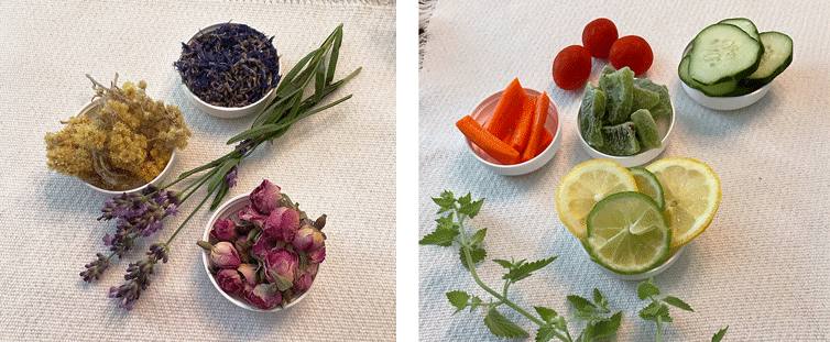 cindas-botanical-blends-about-cindas-ingredients