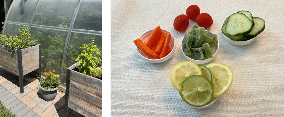 cindas-botanicals-natural-and-certified-organic-ingredients-3